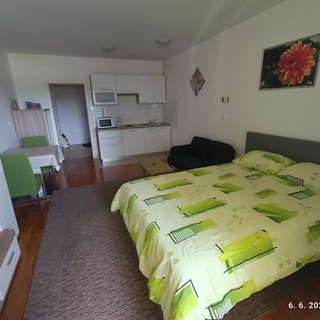 Dalija Apartman 萨格勒布 外观 照片